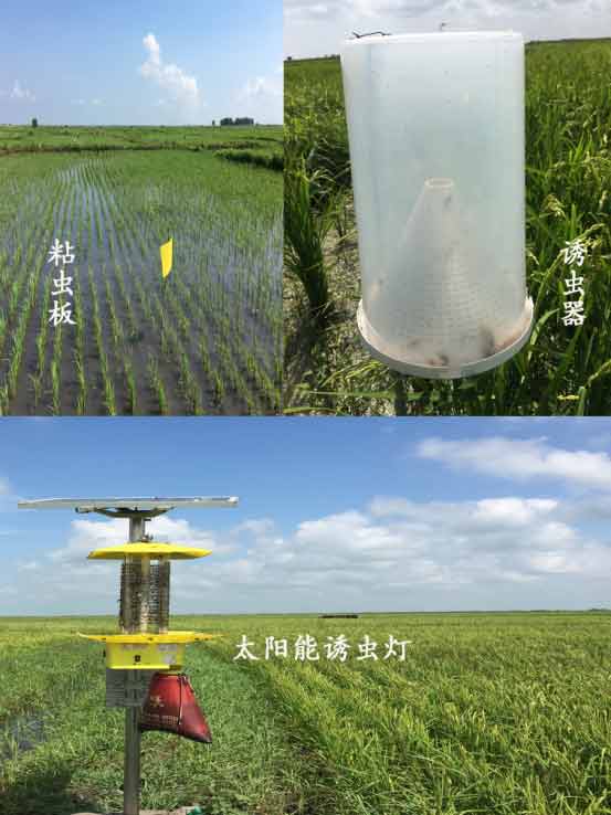 物理、生物防蟲